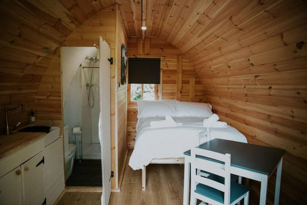 Apartament Pine Cosy Winter Cabin - Hot Tub & Log Burner Barmouth Zewnętrze zdjęcie
