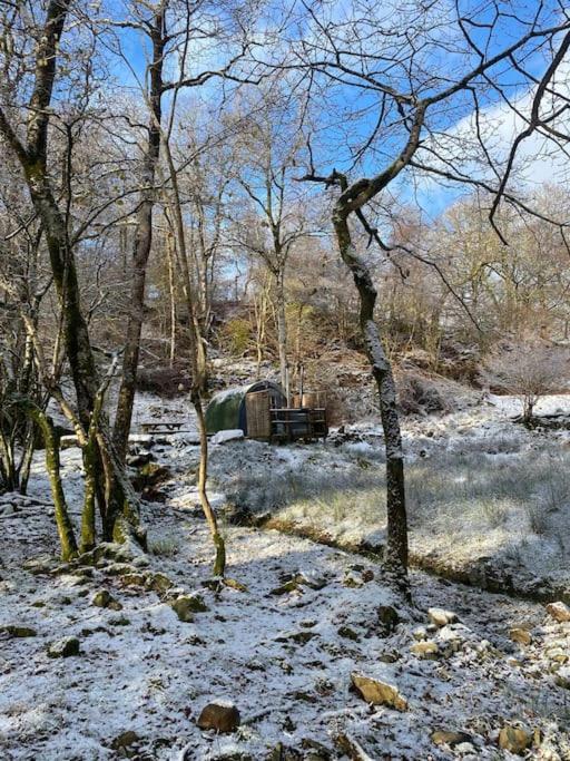 Apartament Pine Cosy Winter Cabin - Hot Tub & Log Burner Barmouth Zewnętrze zdjęcie